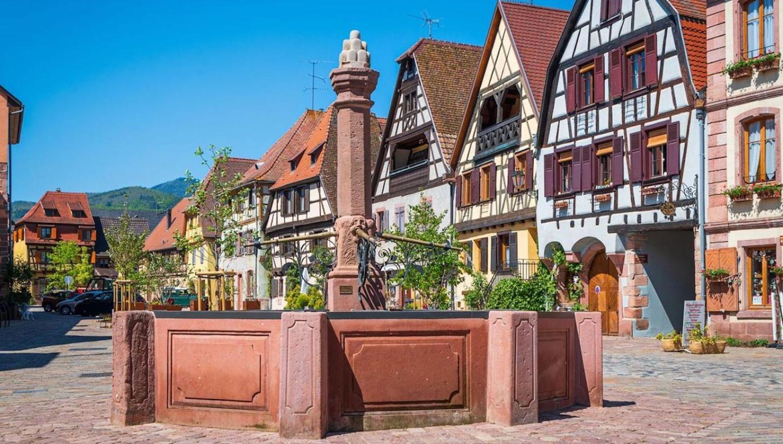 Appartements Duplex 3 Et 4 Personnes - Climatisation - Village Elu Parmi Les "Plus Beaux Villages De France" - Route Des Vins - Centre Alsace Bergheim Zewnętrze zdjęcie