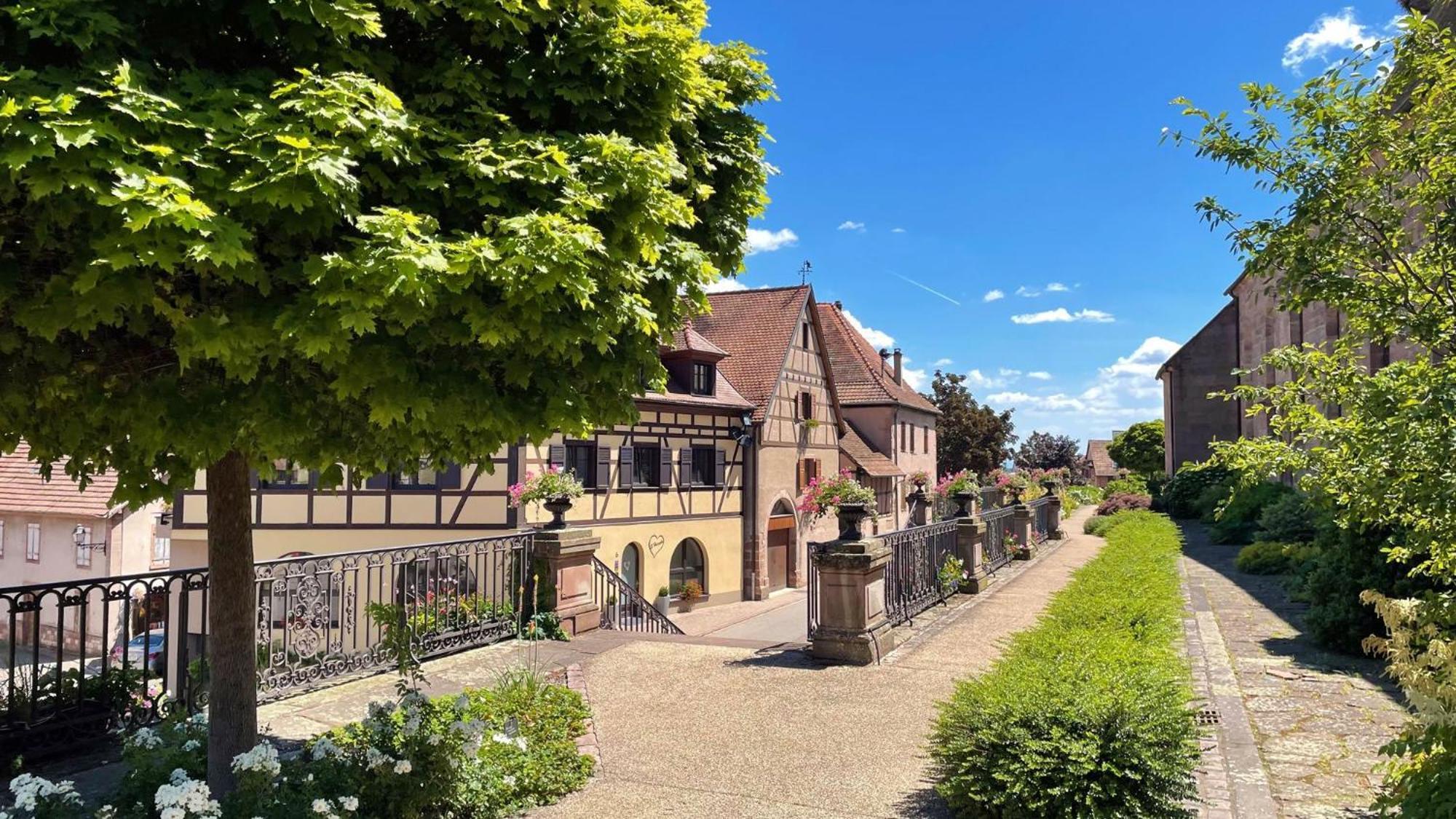 Appartements Duplex 3 Et 4 Personnes - Climatisation - Village Elu Parmi Les "Plus Beaux Villages De France" - Route Des Vins - Centre Alsace Bergheim Zewnętrze zdjęcie