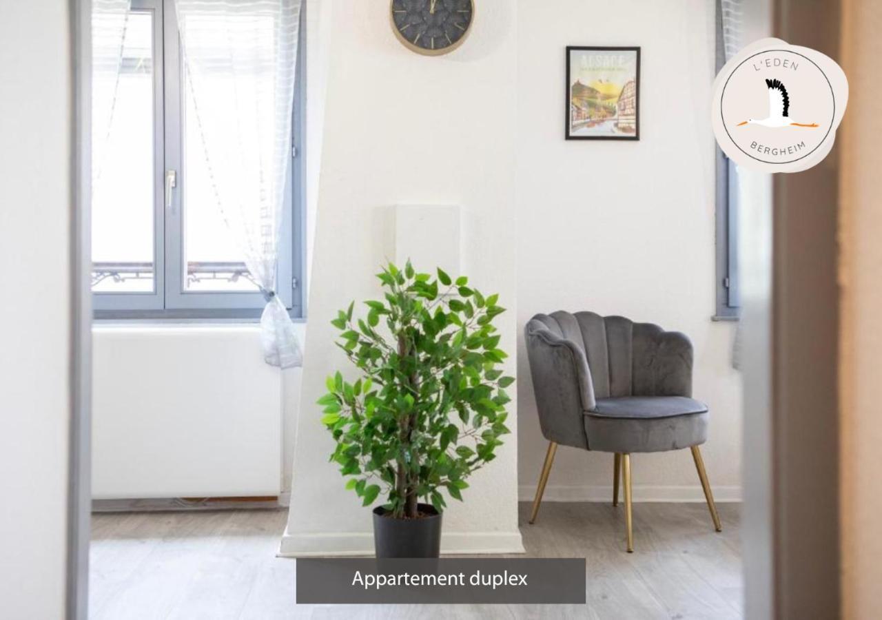 Appartements Duplex 3 Et 4 Personnes - Climatisation - Village Elu Parmi Les "Plus Beaux Villages De France" - Route Des Vins - Centre Alsace Bergheim Zewnętrze zdjęcie