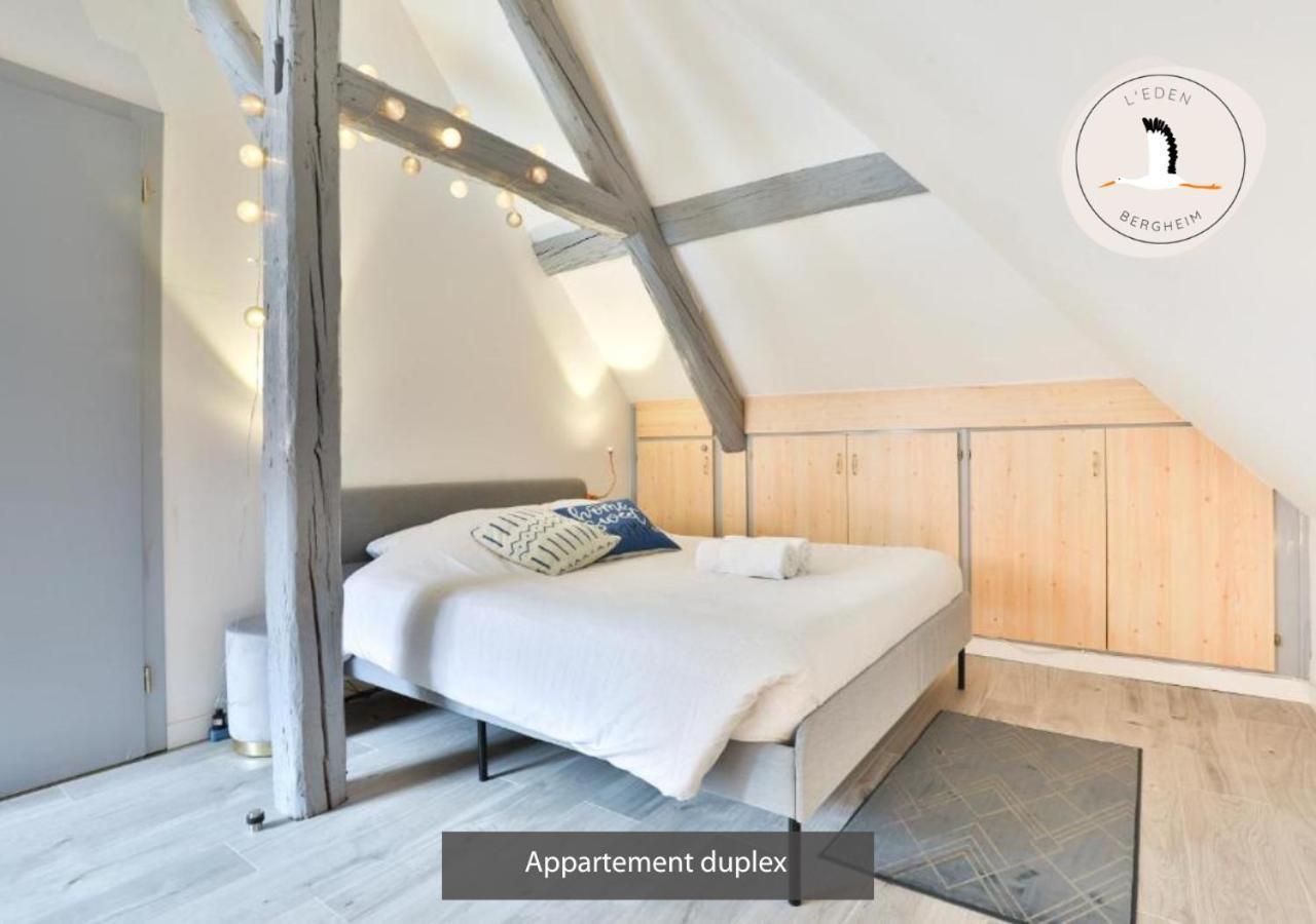 Appartements Duplex 3 Et 4 Personnes - Climatisation - Village Elu Parmi Les "Plus Beaux Villages De France" - Route Des Vins - Centre Alsace Bergheim Zewnętrze zdjęcie