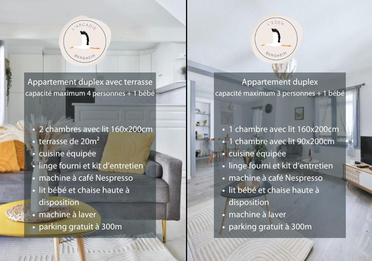 Appartements Duplex 3 Et 4 Personnes - Climatisation - Village Elu Parmi Les "Plus Beaux Villages De France" - Route Des Vins - Centre Alsace Bergheim Zewnętrze zdjęcie